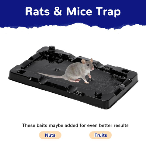 RAT SUPER glue close-up showing ultra-sticky formula for secure catch.