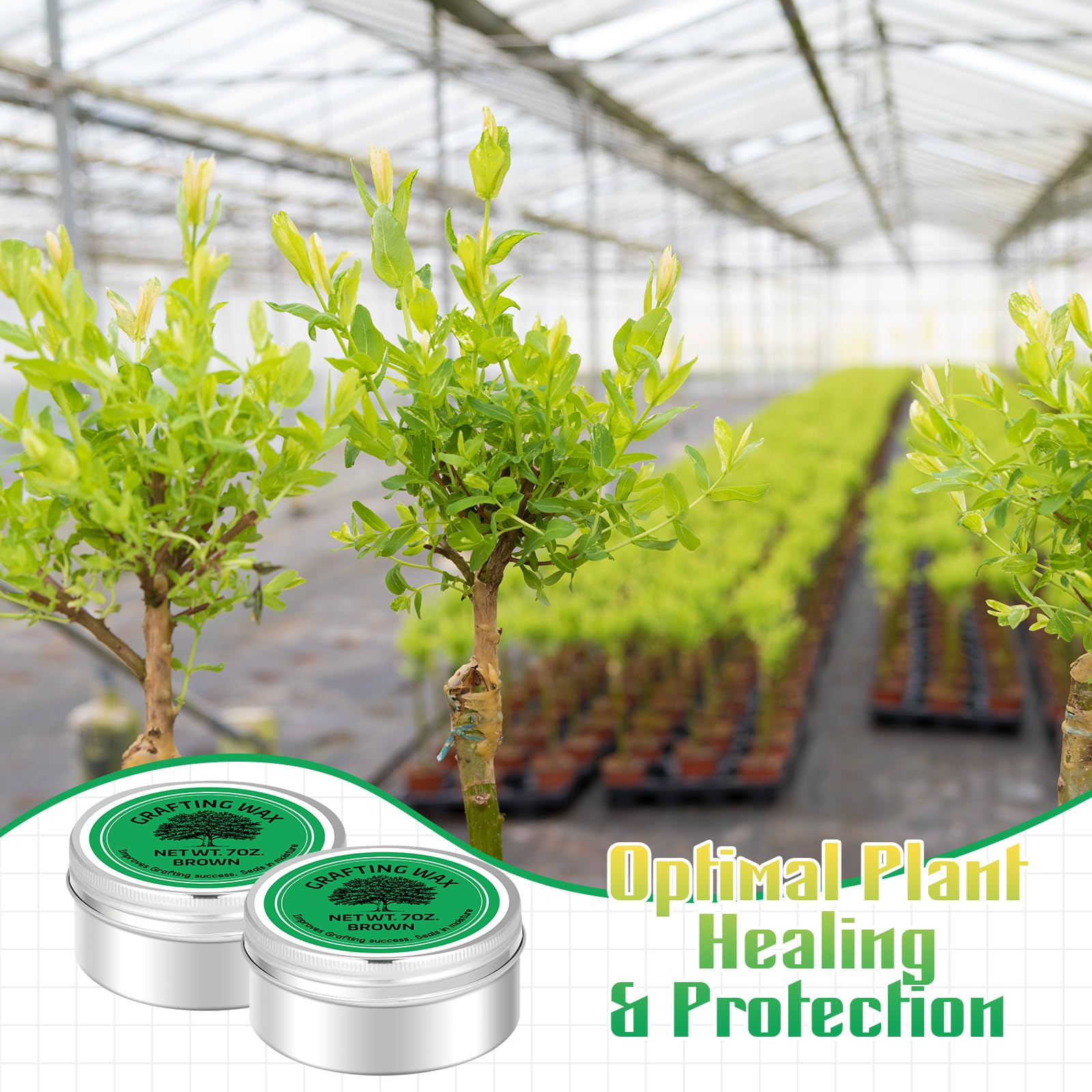 RattanView packaging shows two tins for ongoing grafting projects.