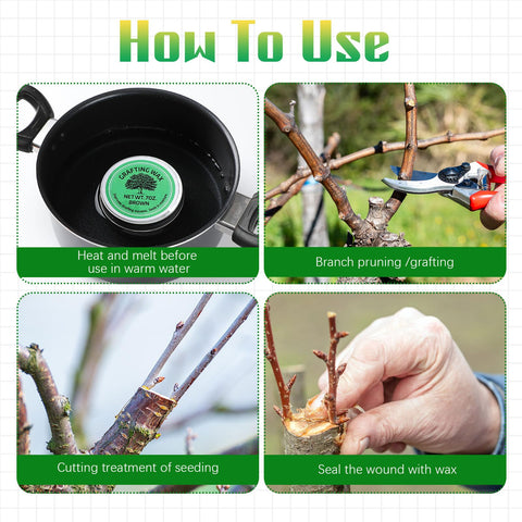 RattanView wax applied to roses or bonsai grafts for reliable sealing.