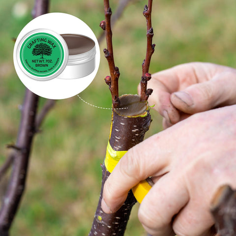 RattanView wound sealing protects grafts from moisture and weather exposure.