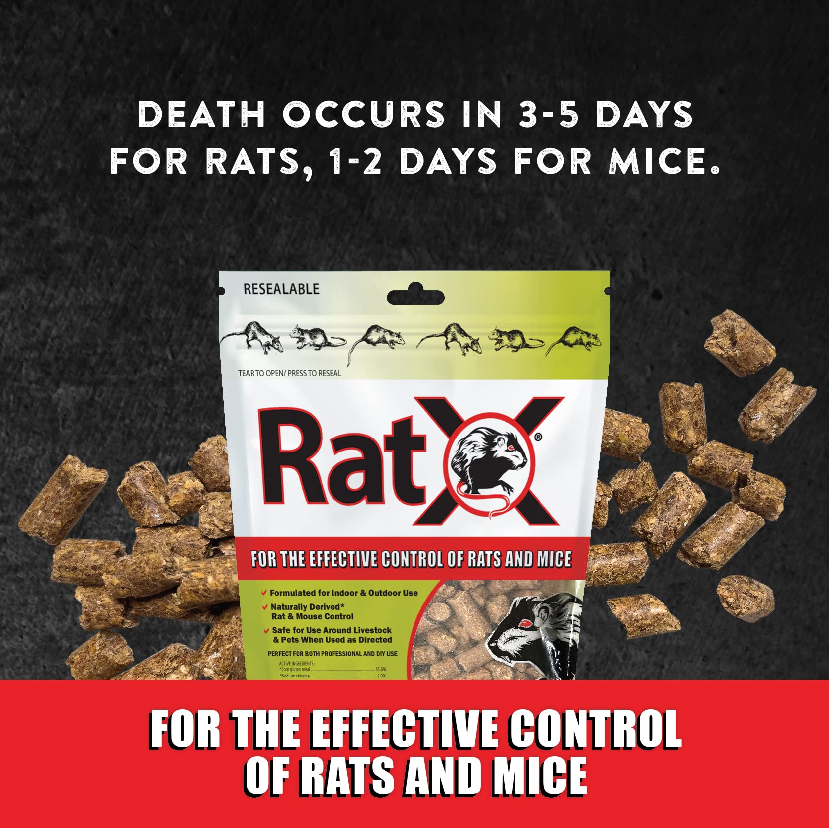 RatX bag on workbench showcases easy DIY rodent management.