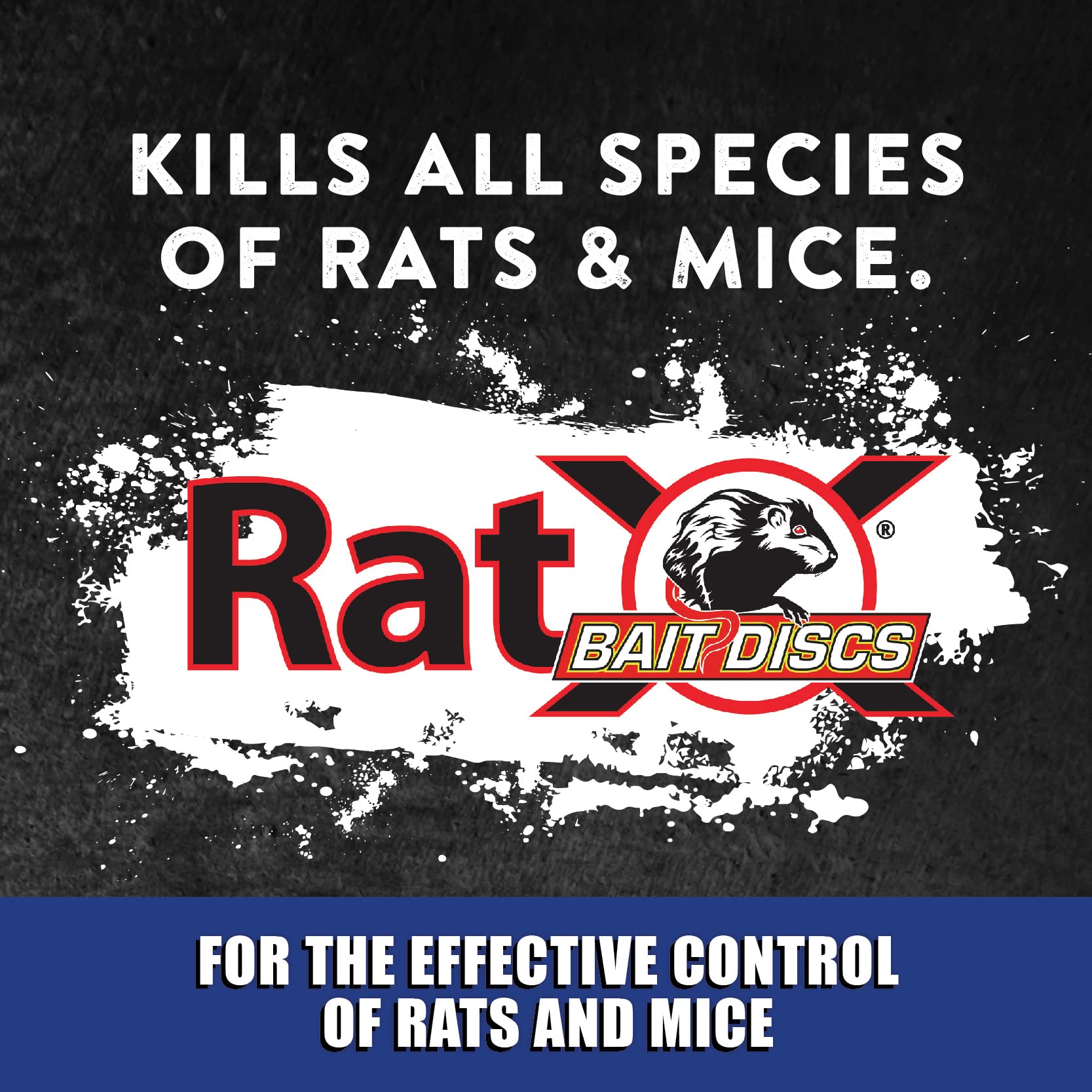 RatX Bait Discs in bait station setup demonstrating safe, contained placement.