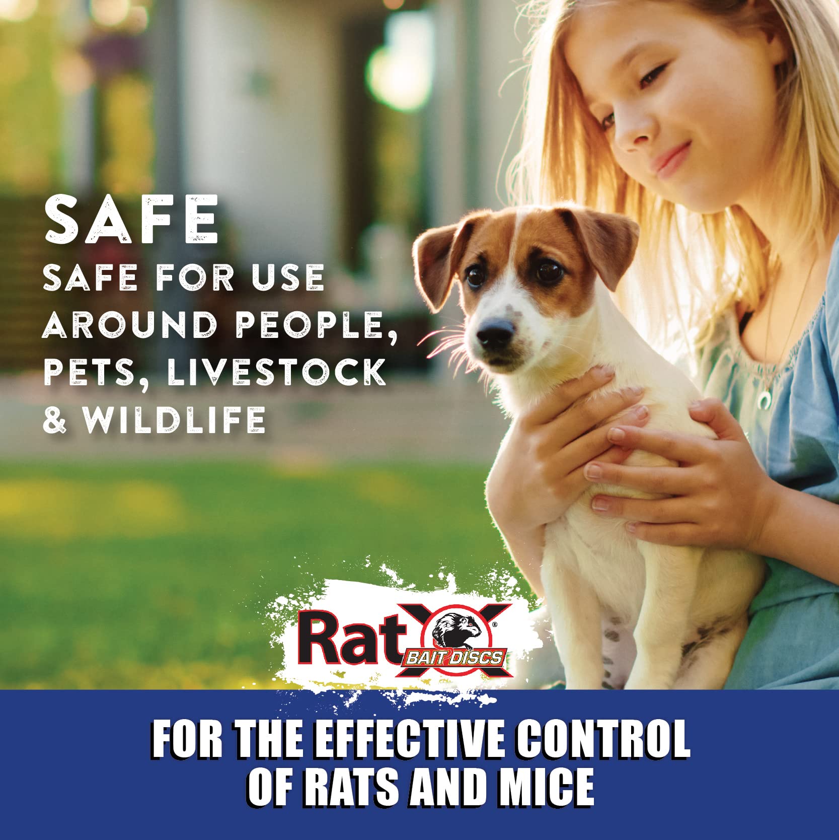 RatX Bait Discs suitable for professional and DIY use shown in action.