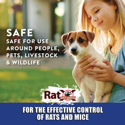 RatX Bait Discs suitable for professional and DIY use shown in action.