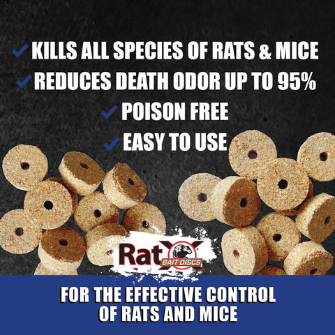 RatX Bait Discs in shed or barn environments for practical control.
