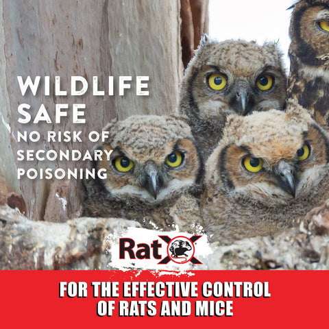 RatX made in USA with natural ingredients for quality rodent management.