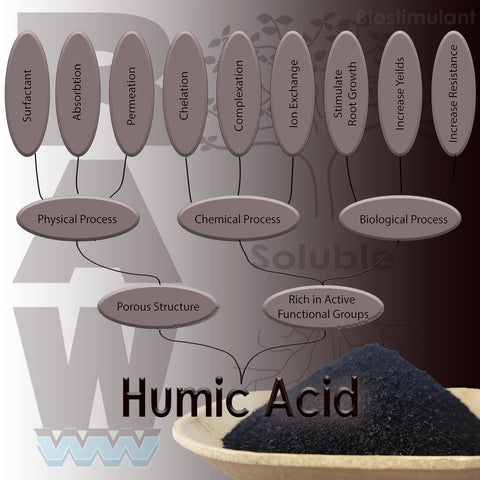 RAW Humic Acid 8 oz soil drench action for stronger root access.
