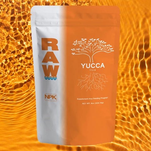 RAW Yucca Flow supporting root-zone moisture and nutrient access