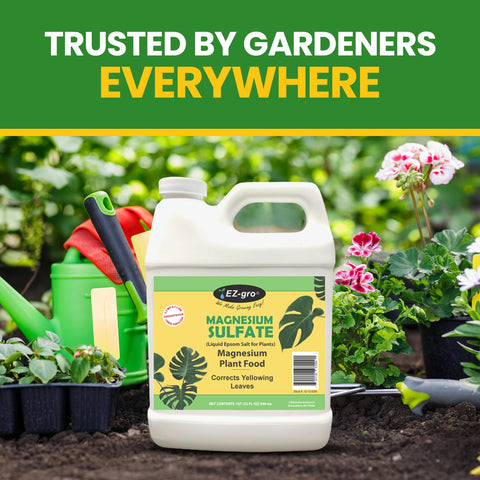 Ray DeBruhl inspired EZ-gro packaging and story