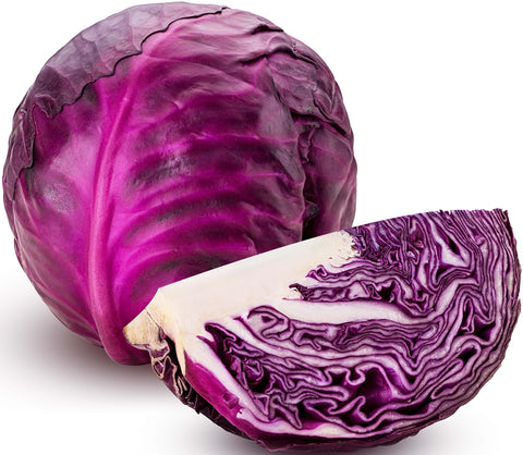 RDR Seeds 250 Red Acre cabbage seeds packet for home gardening