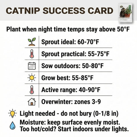RDR Seeds catnip border attracts pollinators and beneficial insects.