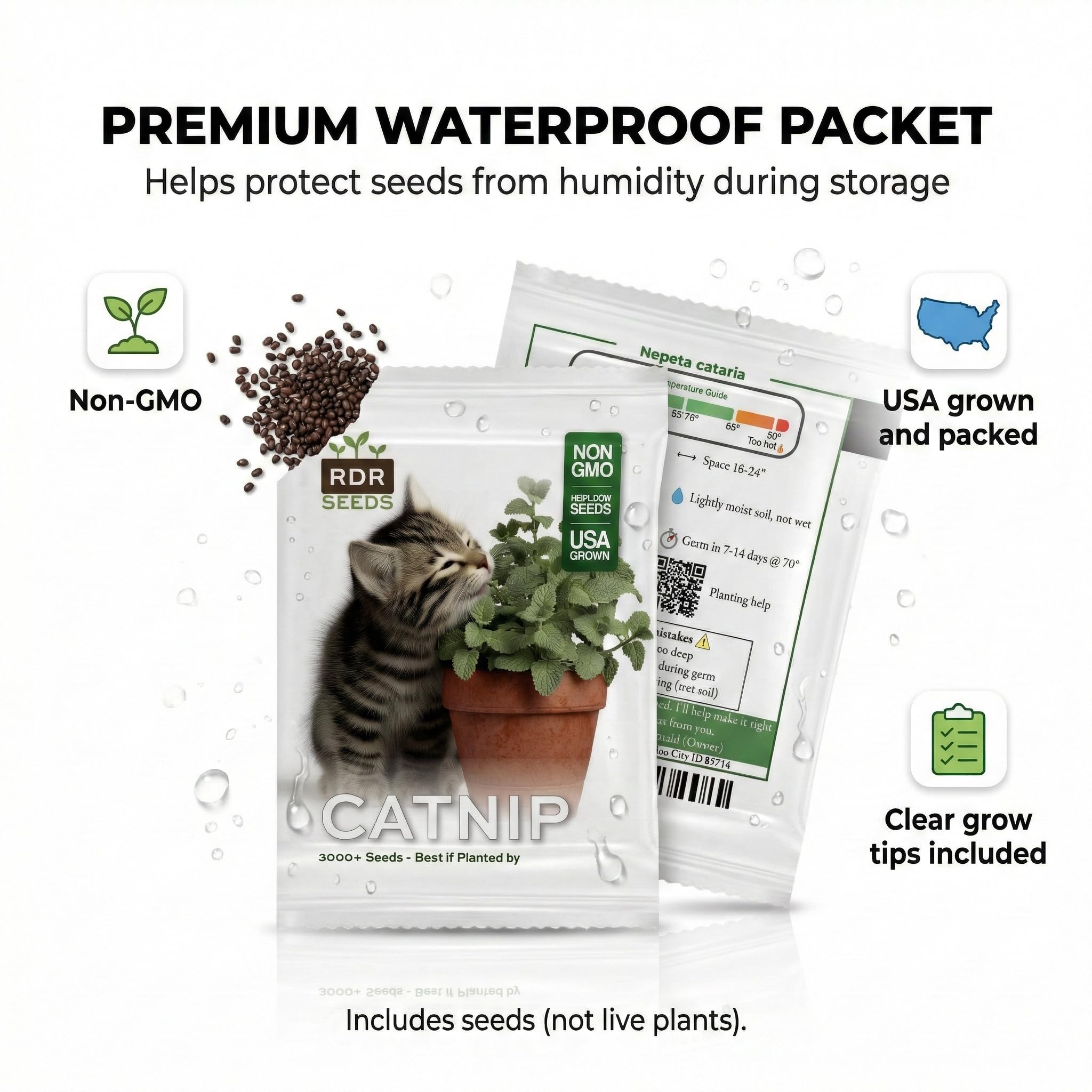 RDR Seeds catnip plant spacing 12-18 inches for healthy growth.