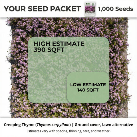 RDR Seeds creeping thyme surface-sow image illustrates germination with light exposure.