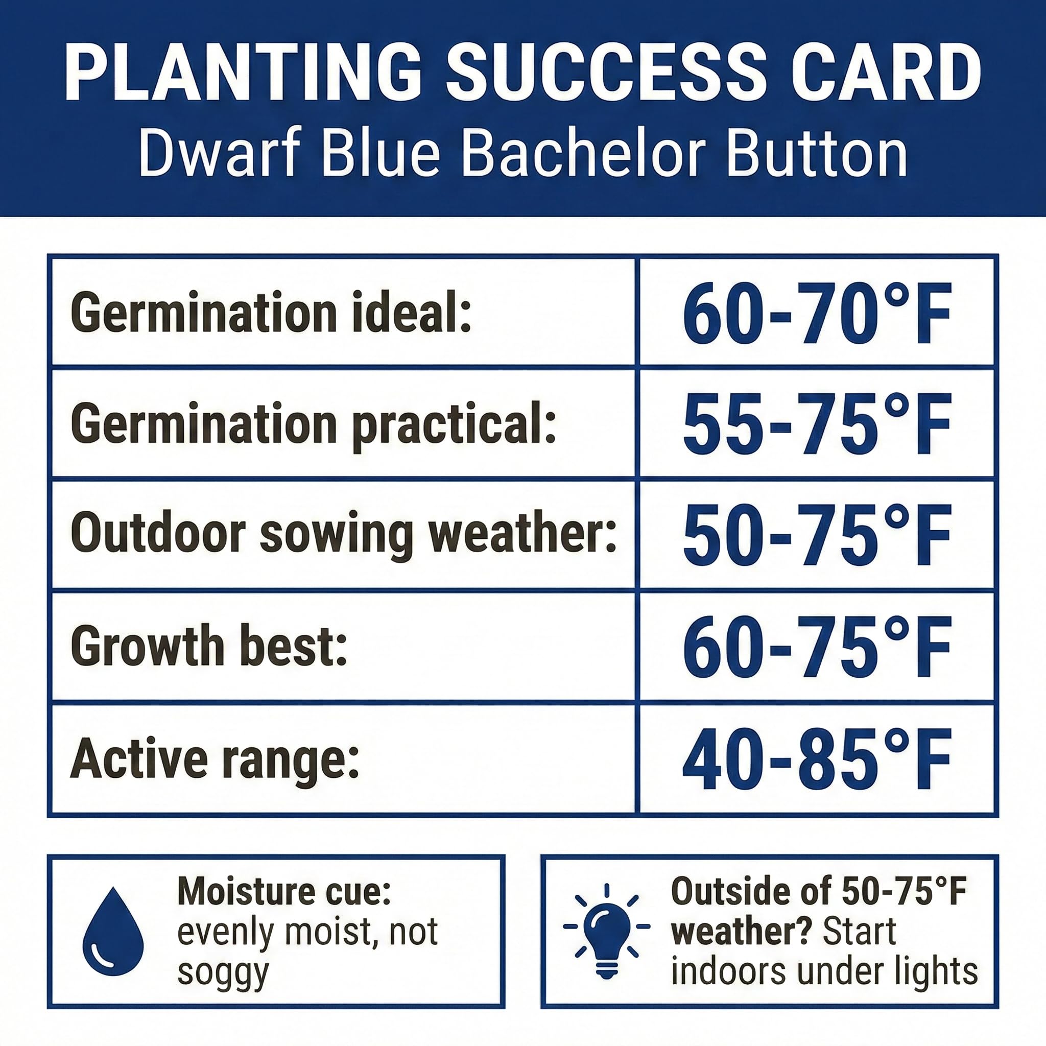Direct sow steps from RDR Seeds shown for easy planting