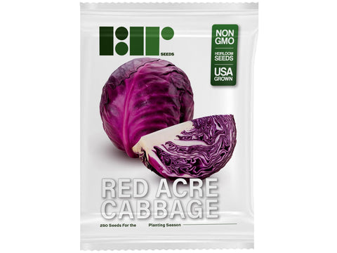 RDR Seeds fast-maturing cabbage ready for early harvest