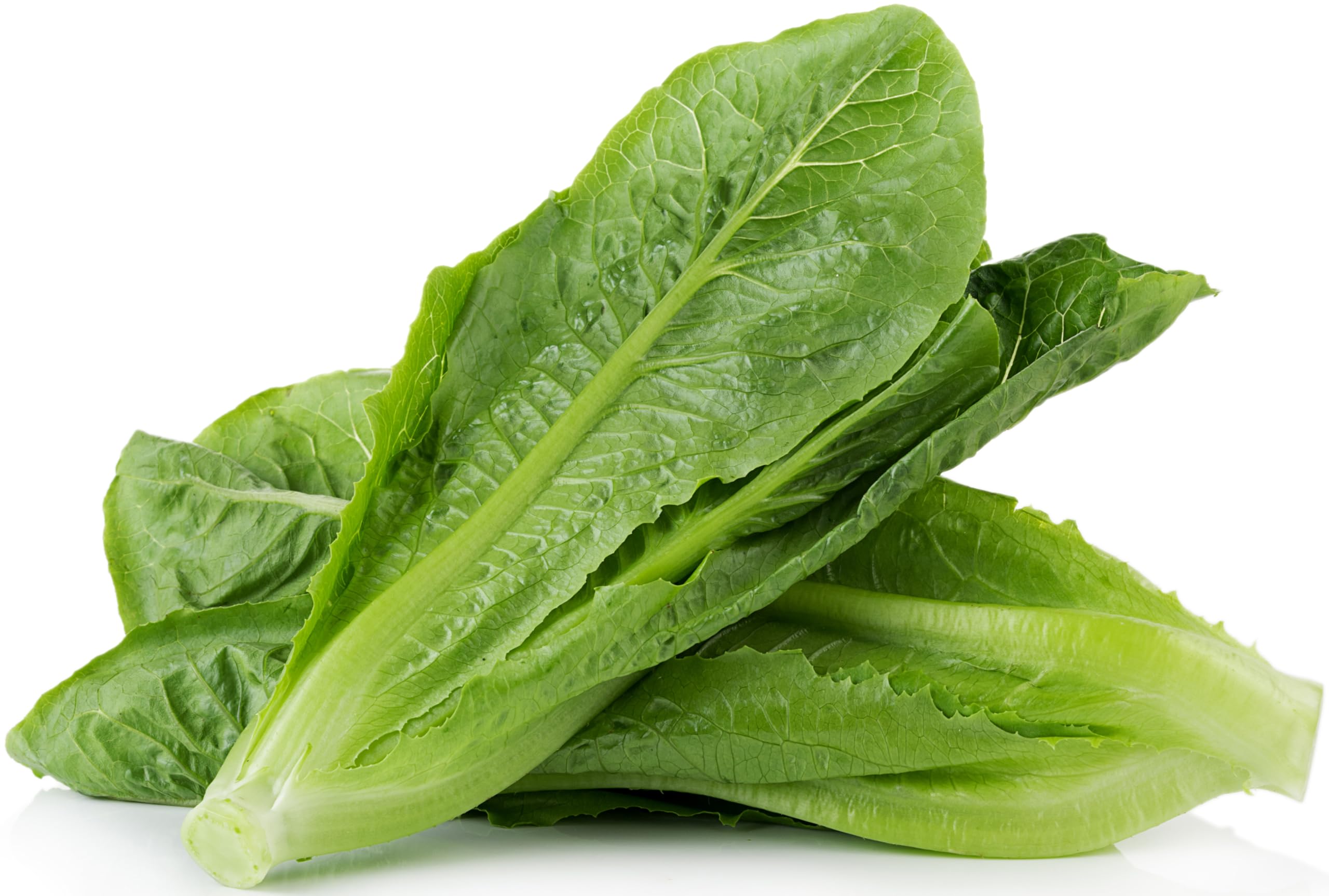 RDR Seeds Parris Island Cos lettuce seeds front pack for easy garden planning.