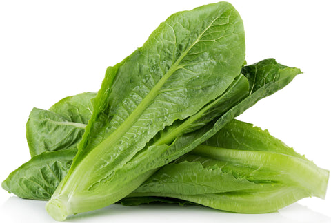 RDR Seeds Parris Island Cos lettuce seeds front pack for easy garden planning.