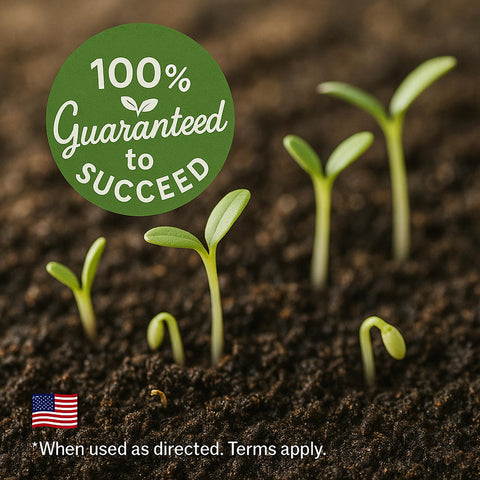 RDR Seeds seed packet reinforces freshness and reliability for easy sowing.