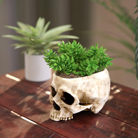 READAEER gothic desk decor skull enhances home office ambiance.