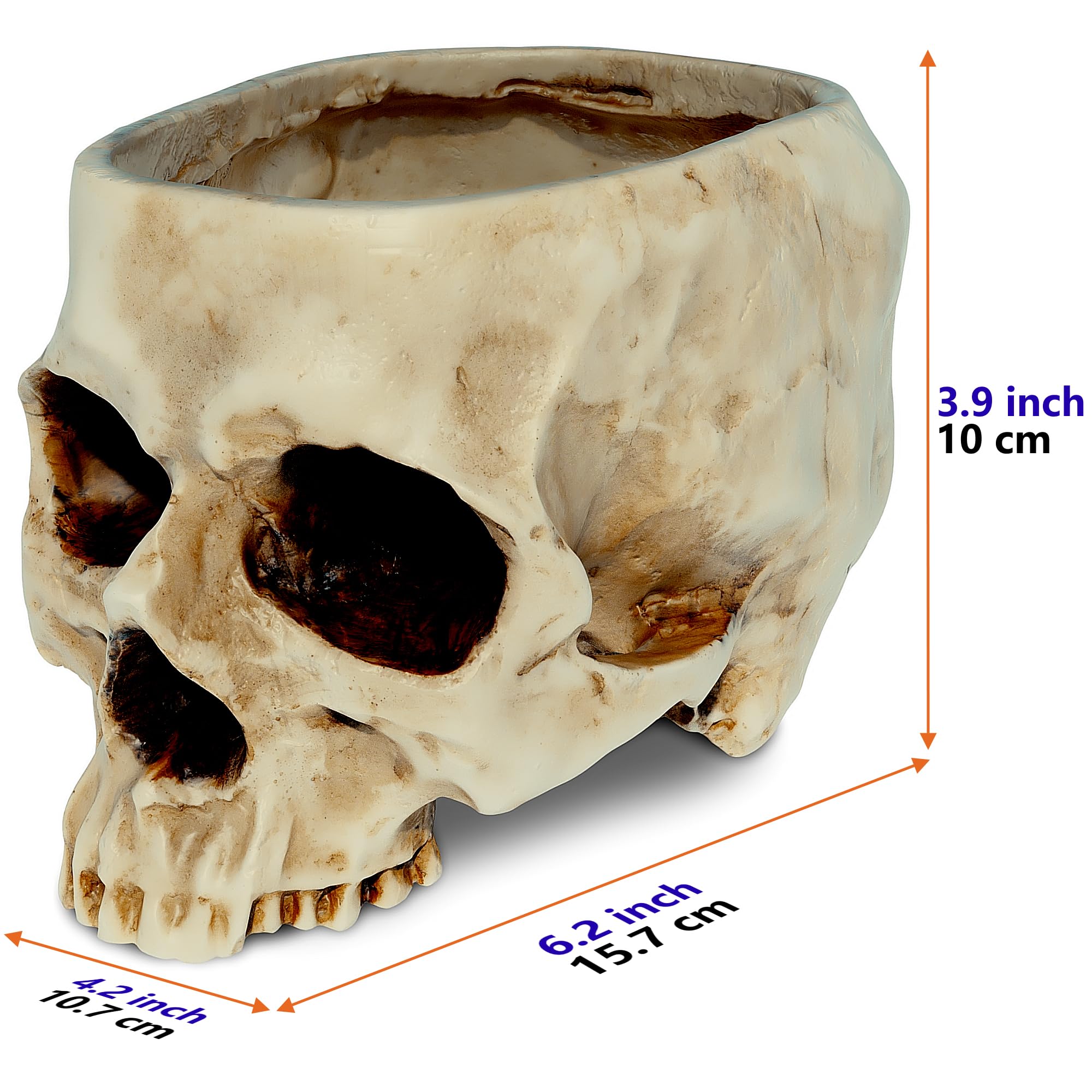 READAEER skull candy bowl in white for party snacks and decor.