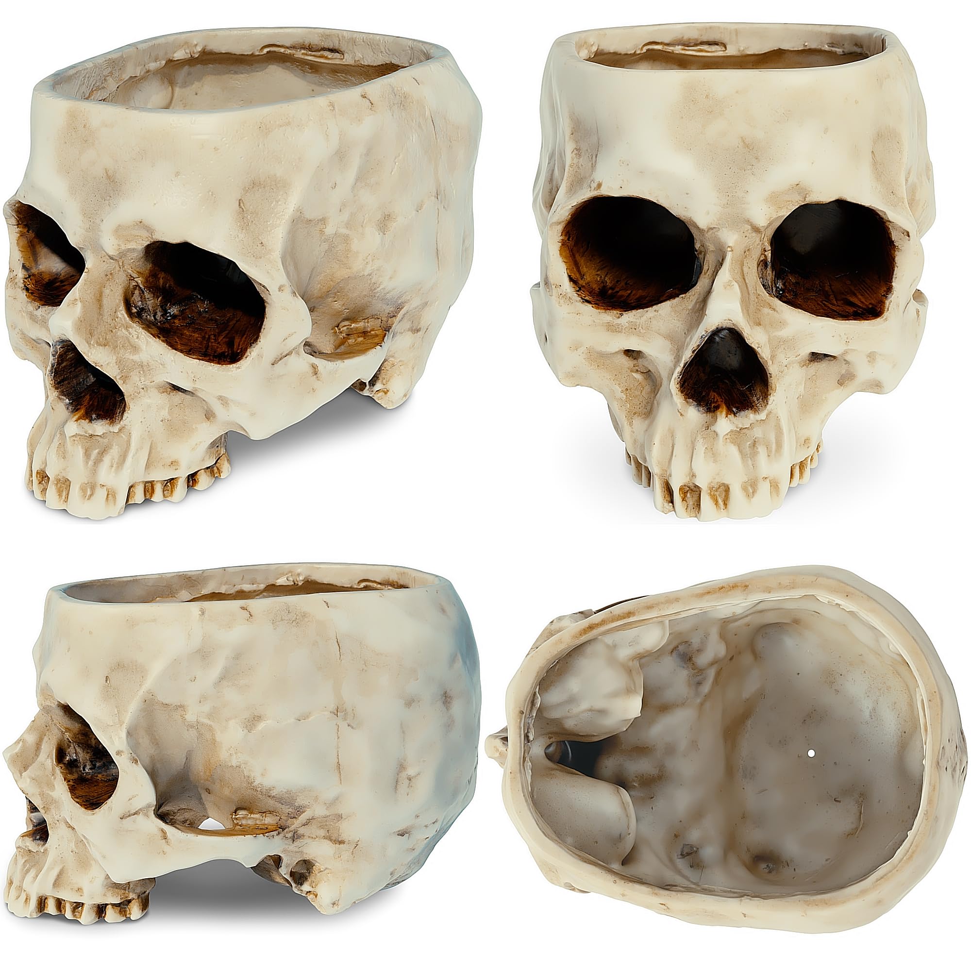 READAEER skull planter close-up texture highlights craftsmanship.