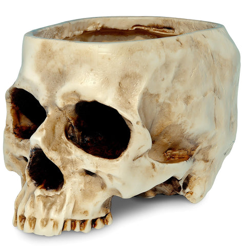 READAEER skull planter with drain hole supports healthy indoor succulents.