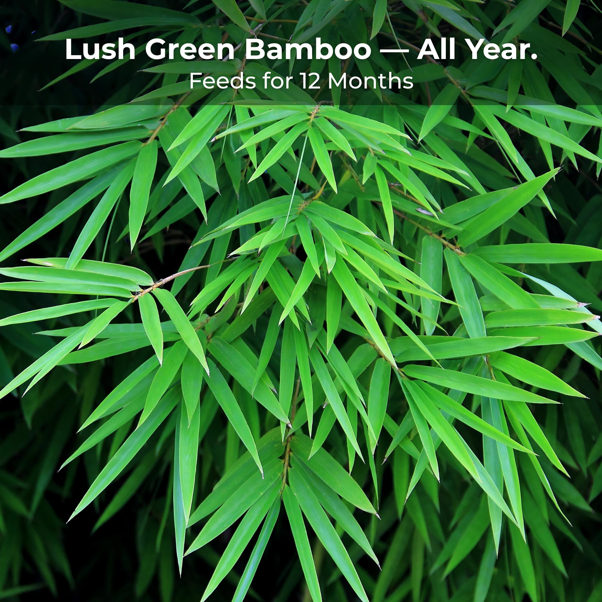 Real Growers Bamboo Special coated nutrient pellets ready for release