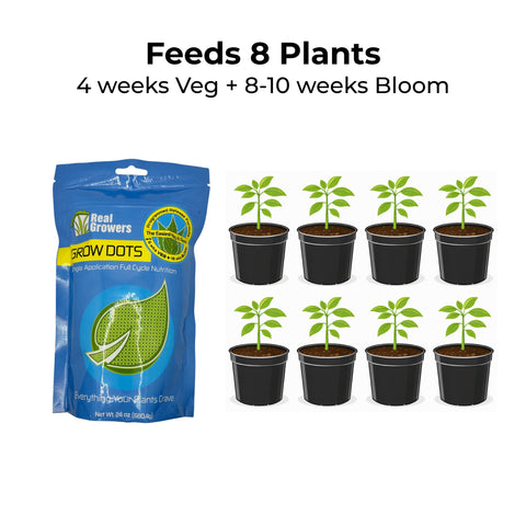 Real Growers Grow Dots Classic 24oz in use with soil-less media for efficiency.