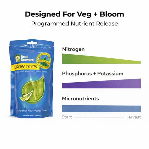 Real Growers Grow Dots Classic trial grow scene conveying predictable nutrient delivery.