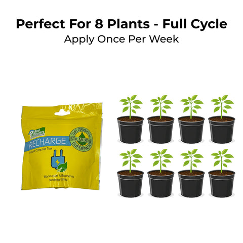 Recharge compost tea setup enhancing soil biology routine