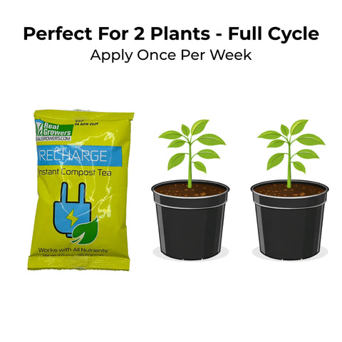 Recharge used with compost tea for microbial balance in soil.