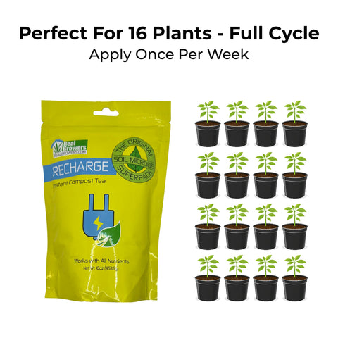 Real Growers Recharge suits serious gardens with larger plantings