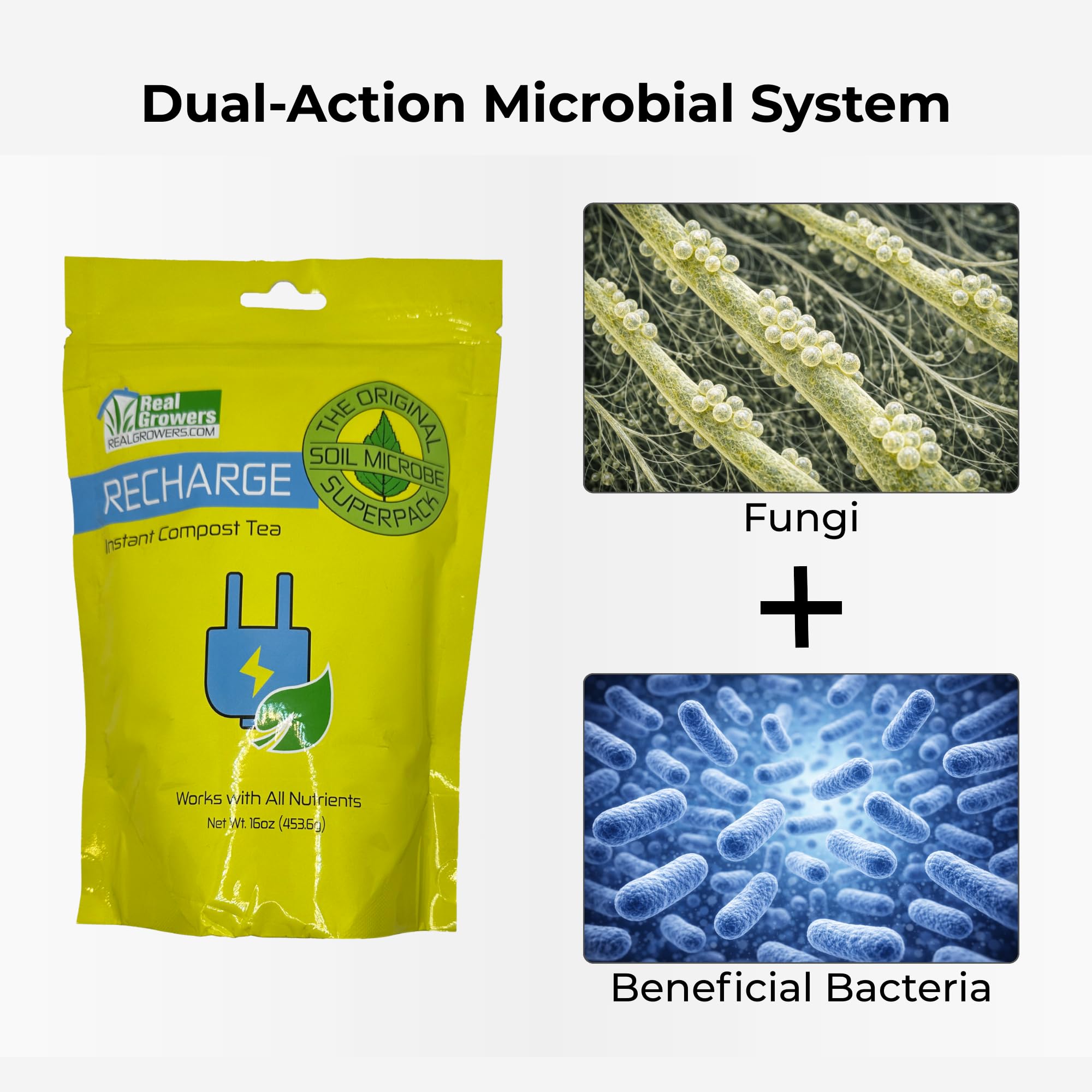 Close-up of mycorrhizae and beneficial microbes in Real Growers Recharge.