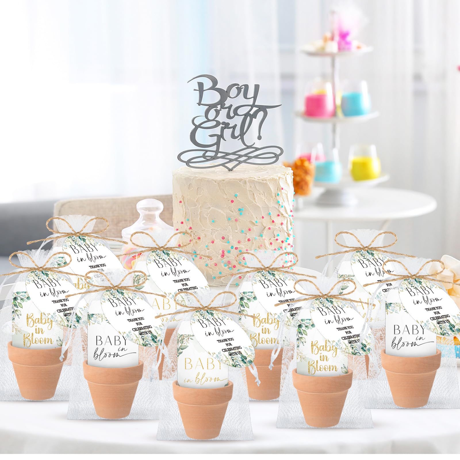 Reallnaive Baby in Bloom seed packets ready to plant or gift.