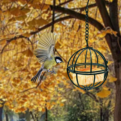 Rebecca Online ball suet feeder versatile mounting for trees or poles.