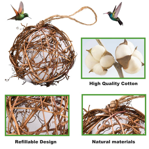 Rebecca Online globe hummingbird nester indoor display brightens a sunny windowsill