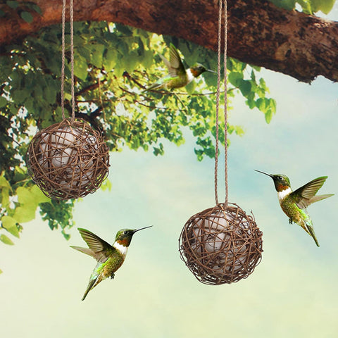 Rebecca Online nesting material holder supports birds nest building without disturbance