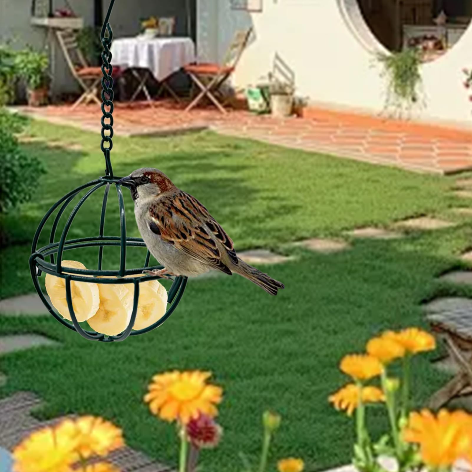 Rebecca Online outdoor garden use suet feeder attracts birds.