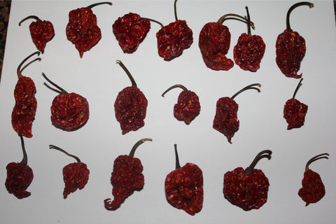 Red Tail Trinidad Moruga Scorpion pods in resealable bag preserving freshness for kitchen use.