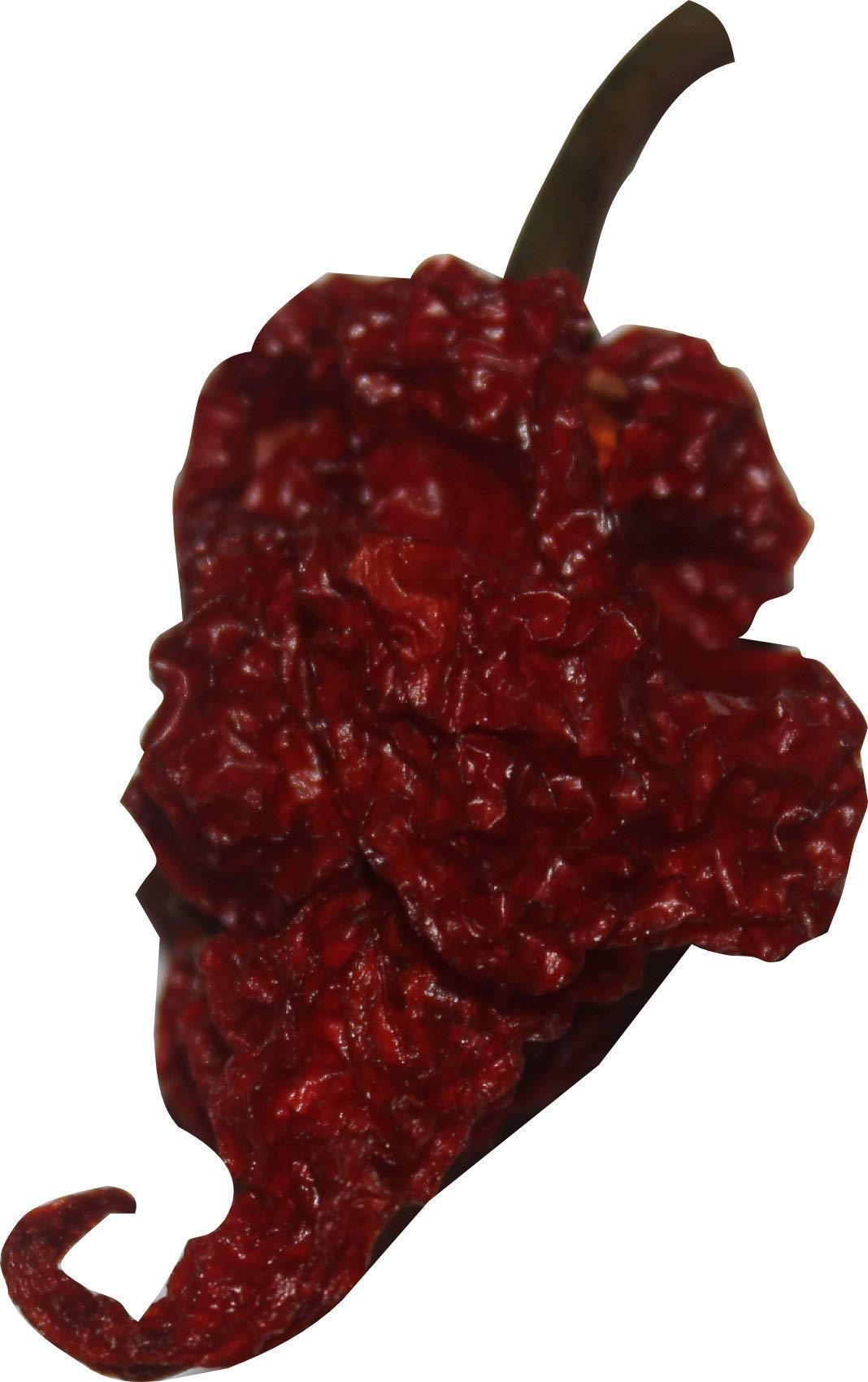Red Tail dried Trinidad Moruga Scorpion pods showing textured pepper surface for intense flavor.