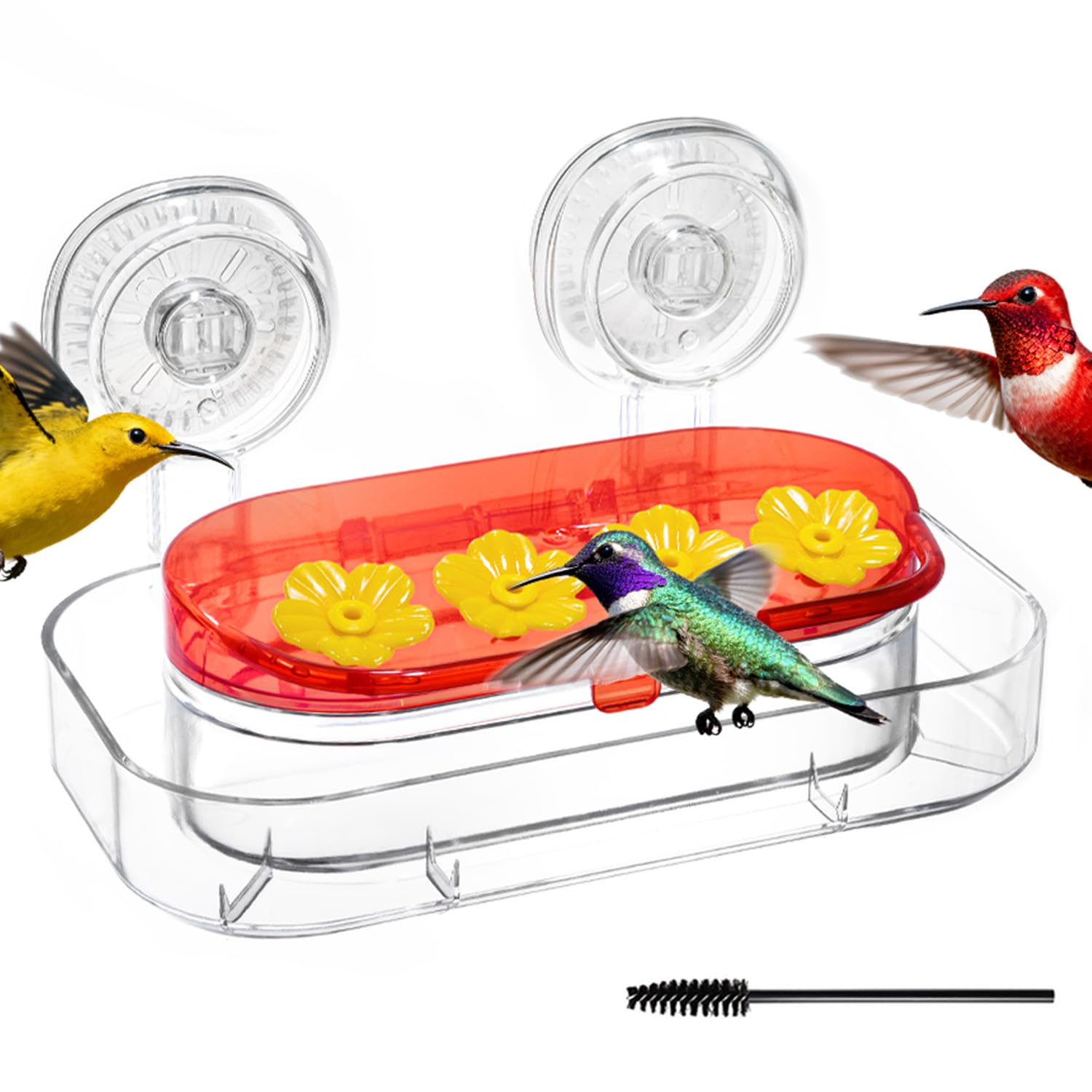 Redboat window hummingbird feeder with strong suction cups for secure mounting outdoors
