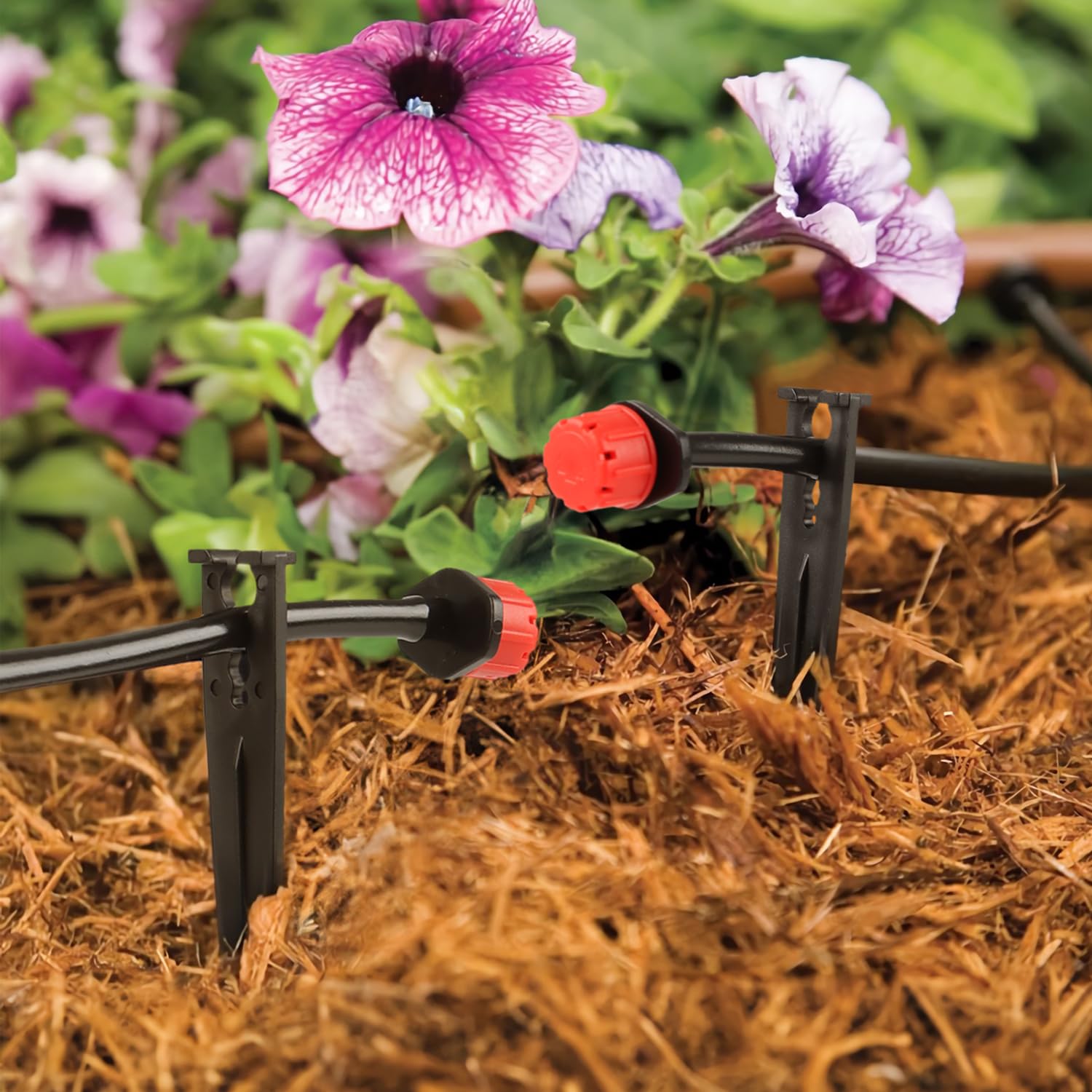 RedChili 100-pack tubing secured on stake keeps lines neat and away from soil.