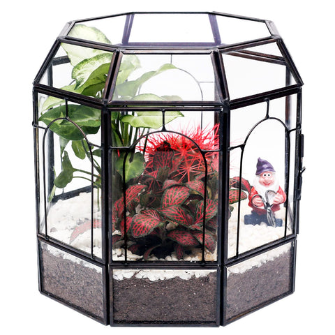 REDHUGO birdcage terrarium front view adds a stylish centerpiece to living spaces.