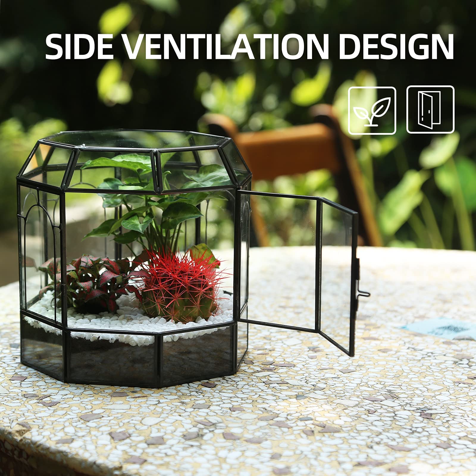 REDHUGO birdcage terrarium side door open demonstrates easy plant ventilation and care.