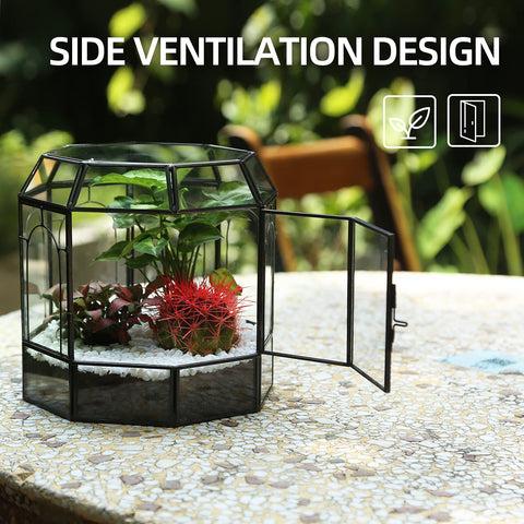 REDHUGO birdcage terrarium side door open demonstrates easy plant ventilation and care.