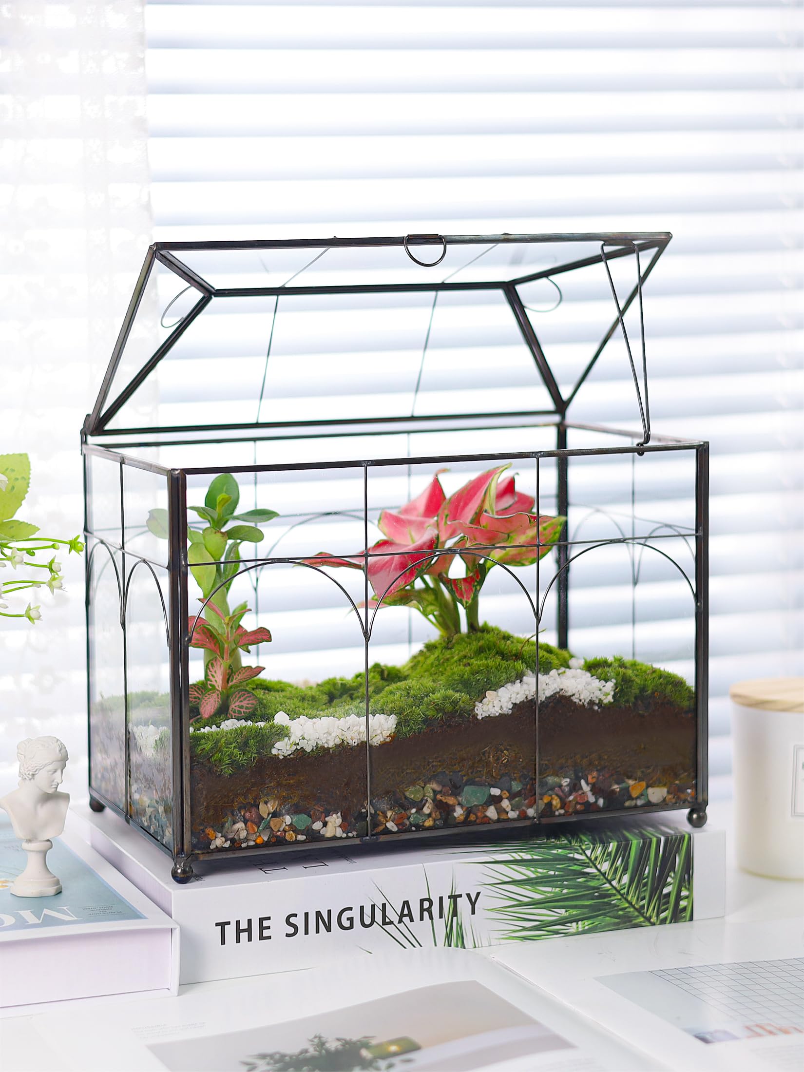 REDHUGO gift-pack terrarium includes tools for easy care