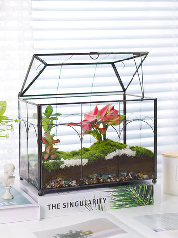 REDHUGO gift-pack terrarium includes tools for easy care