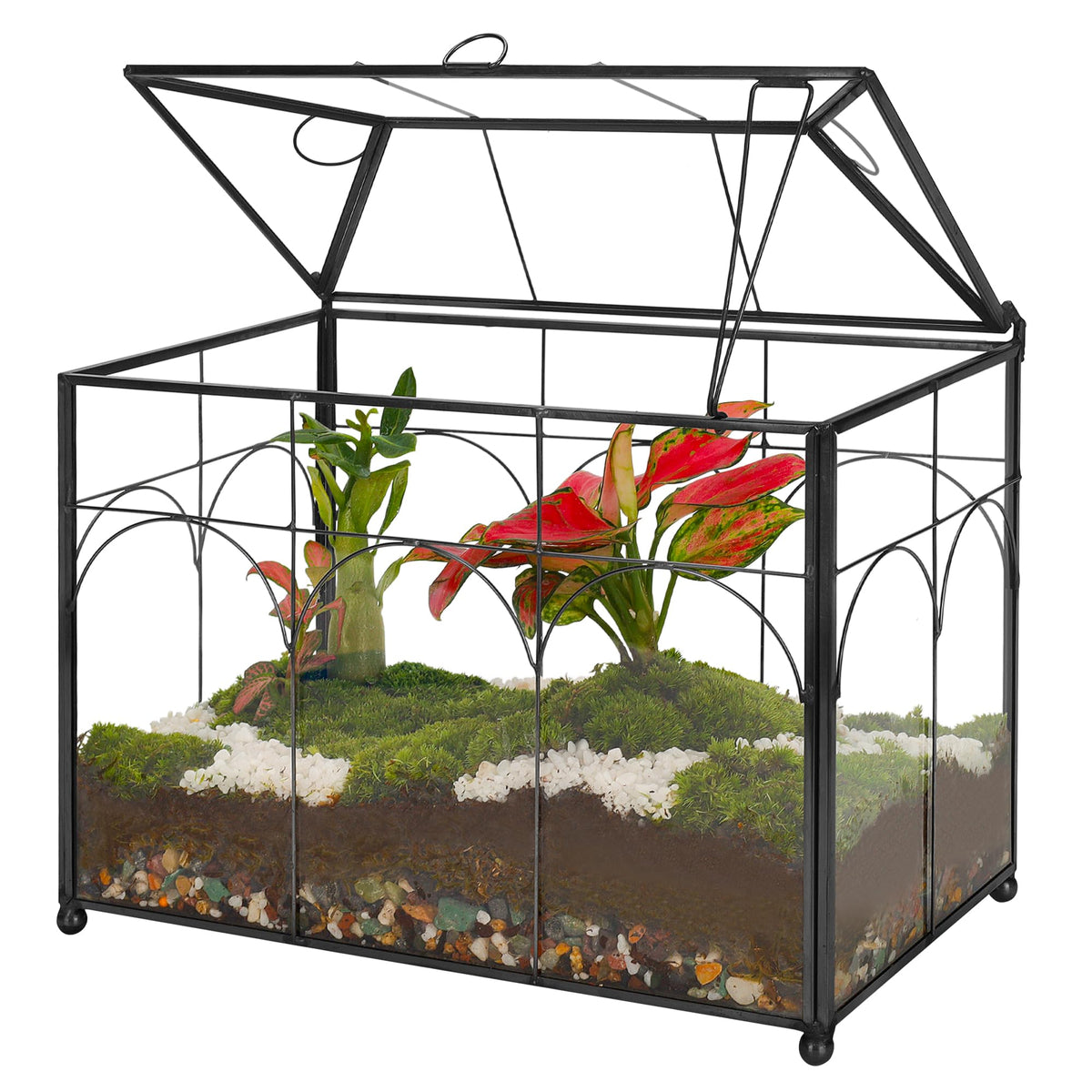 REDHUGO handmade glass terrarium with lid in black, refined tabletop centerpiece
