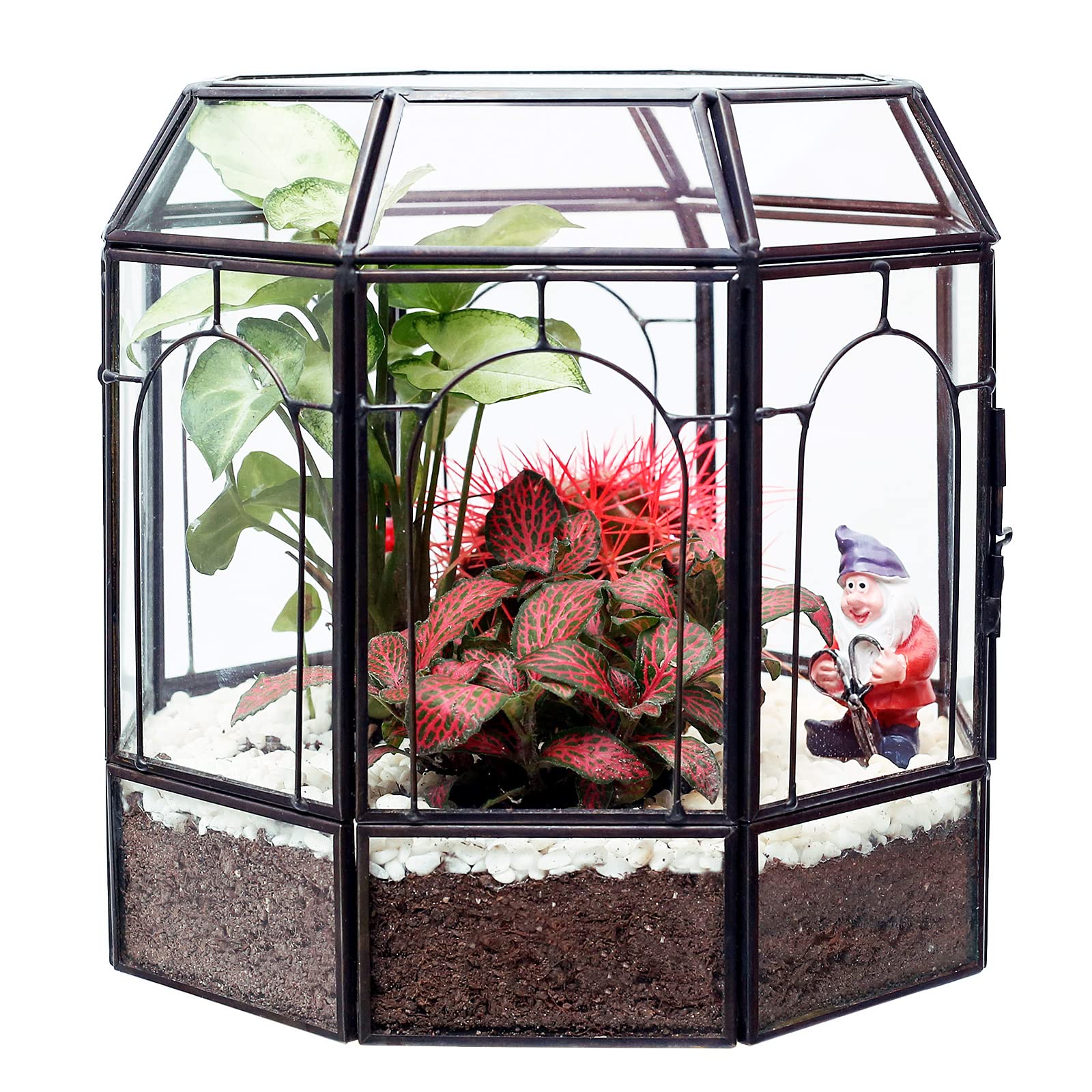 REDHUGO spray bottle and garden tools included enhance setup and plant care.