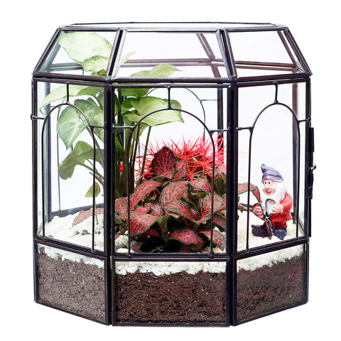 REDHUGO spray bottle and garden tools included enhance setup and plant care.